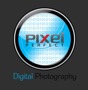 Pixel Perfect Logo